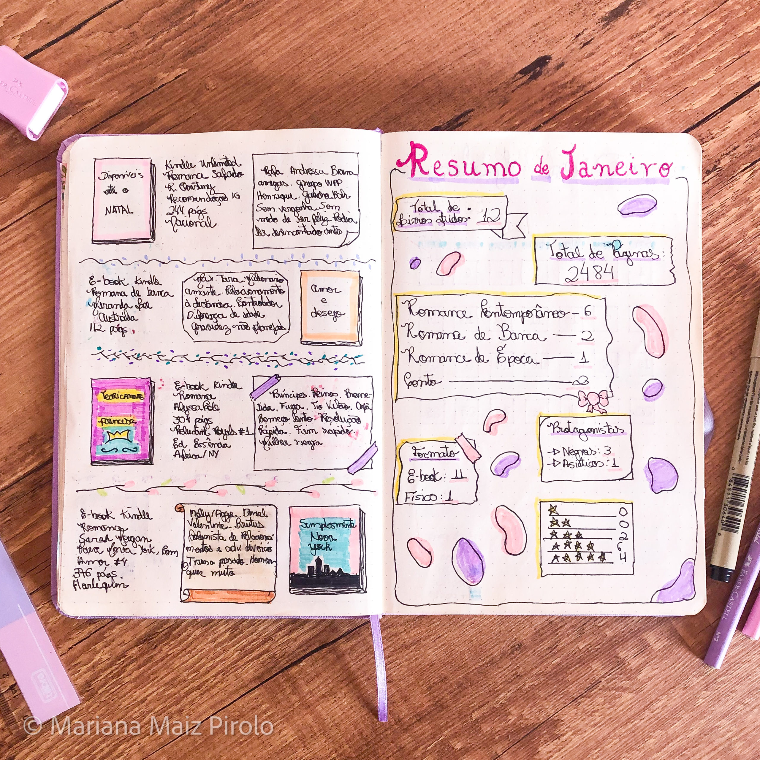 Leituras de Janeiro e Como Ficou Meu Reading Journal